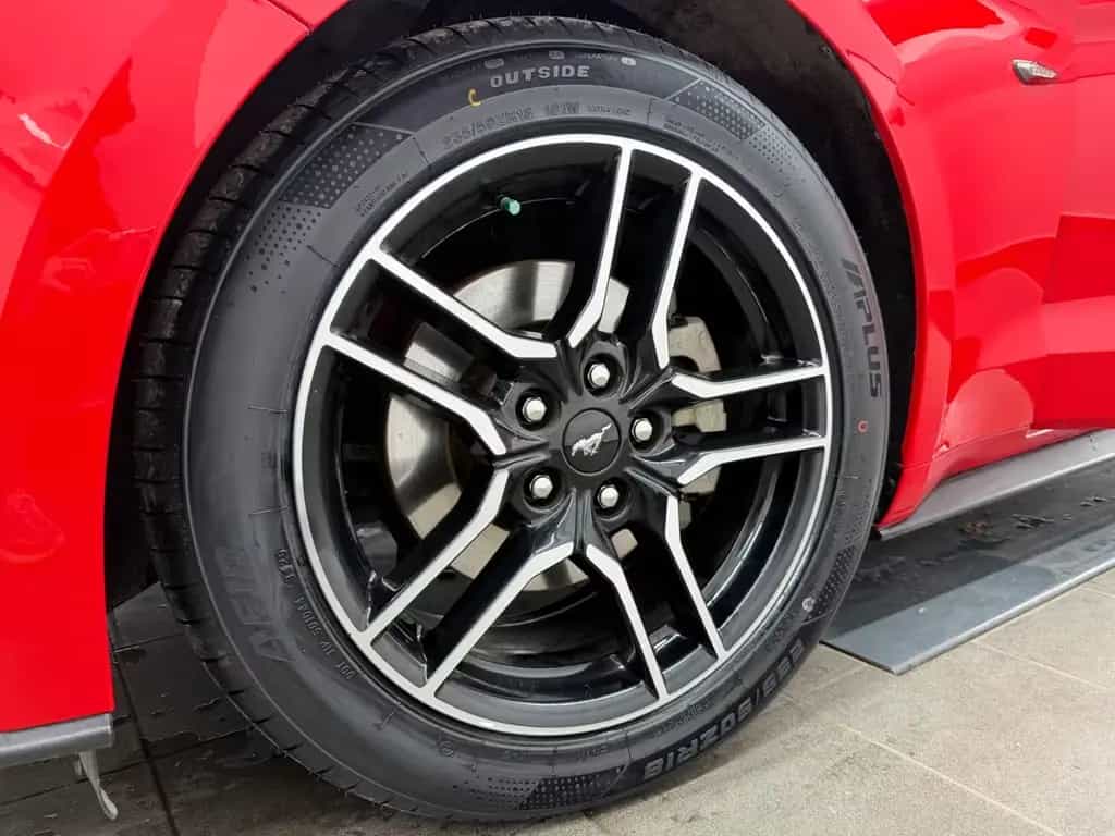 Ford Mustang 2.3 Eco/Race-Red/Navi/R.Kam/Design-Leder 07/2019-photo-9