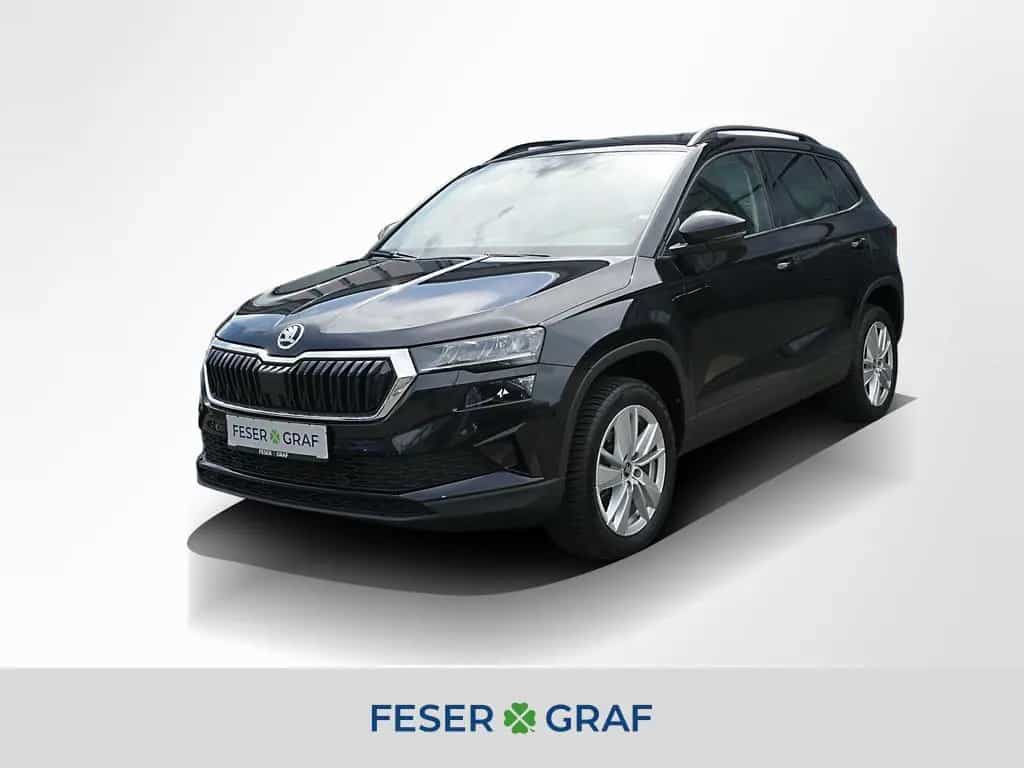 Skoda Karoq 1.5 TSI Selection Alu 17" Smart Link Sitzh 08/2025-photo-0