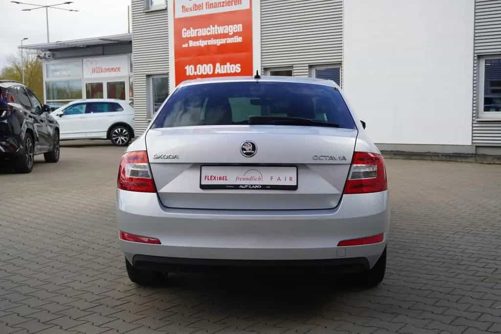 Skoda Octavia 1.0 Joy Bi-Xenon Tempomat Sitzheizung 11/2017-photo-6