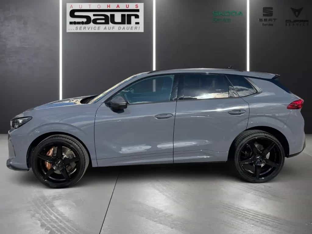 Cupra Terramar VZ ABT 2.0 TSI 4Drive DSG PANORAMA AKEB 11/2024-photo-5