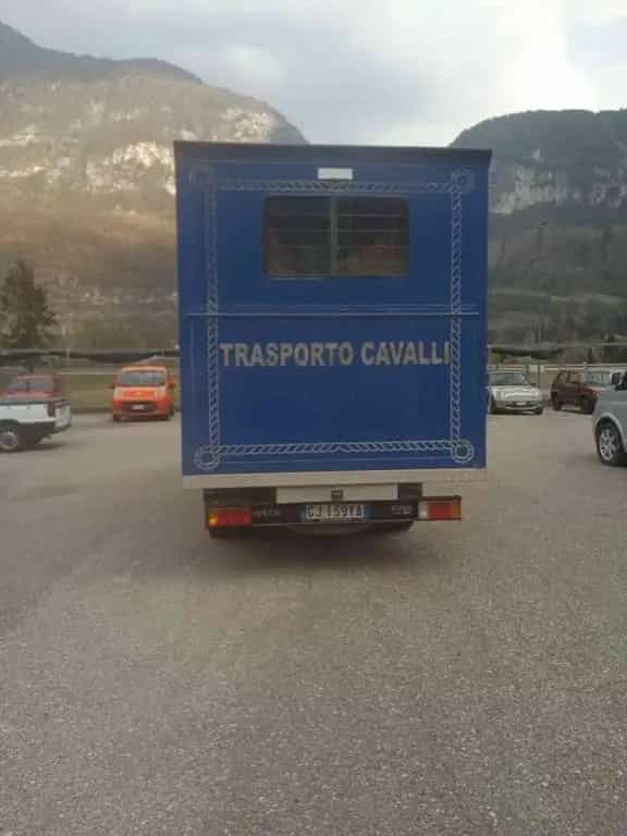 Iveco Daily Daily 35C12 2.3 Hpi Trasporto Cavalli Pate 10/2005-photo-2