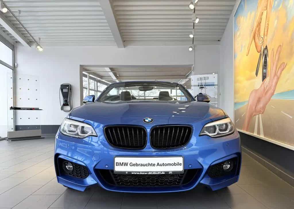 BMW 2 Series 220d Cabrio M SPORT KOMF+LEDer+HARM+SPUR+MEMO+AL 04/2021-photo-13