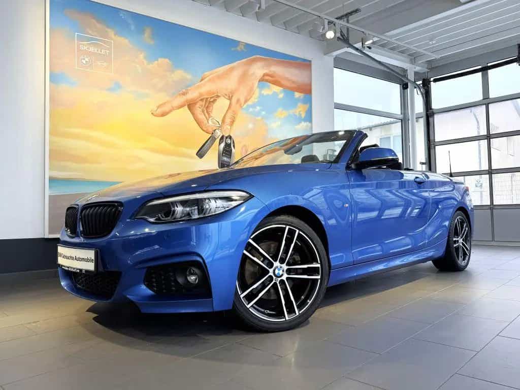 BMW 2 Series 220d Cabrio M SPORT KOMF+LEDer+HARM+SPUR+MEMO+AL 04/2021-photo-38
