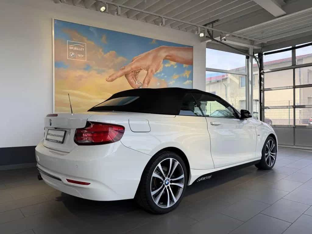 BMW 2 Series 220i Cabrio Sport Line KAM+KOMF+LEDer+HARM+DAB+ 01/2018-photo-10