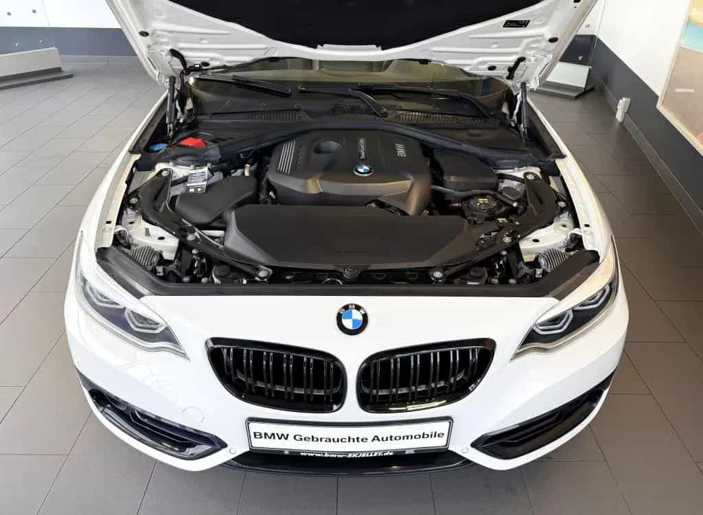 BMW 2 Series 220i Cabrio Sport Line KAM+KOMF+LEDer+HARM+DAB+ 01/2018-photo-16