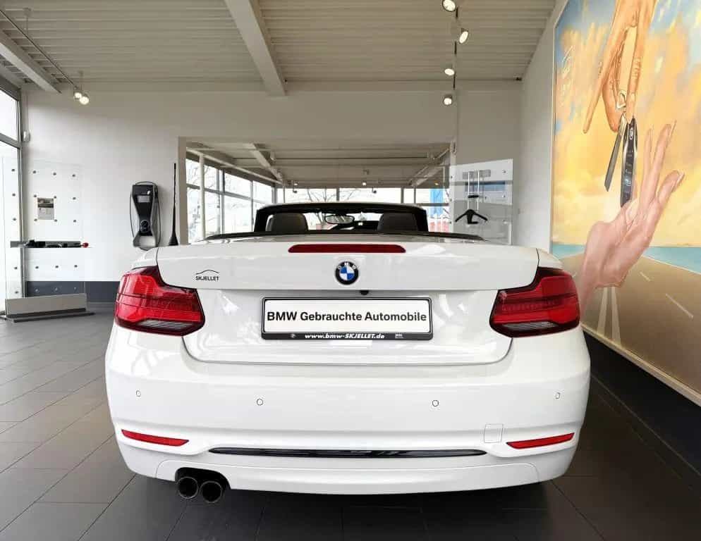 BMW 2 Series 220i Cabrio Sport Line KAM+KOMF+LEDer+HARM+DAB+ 01/2018-photo-17