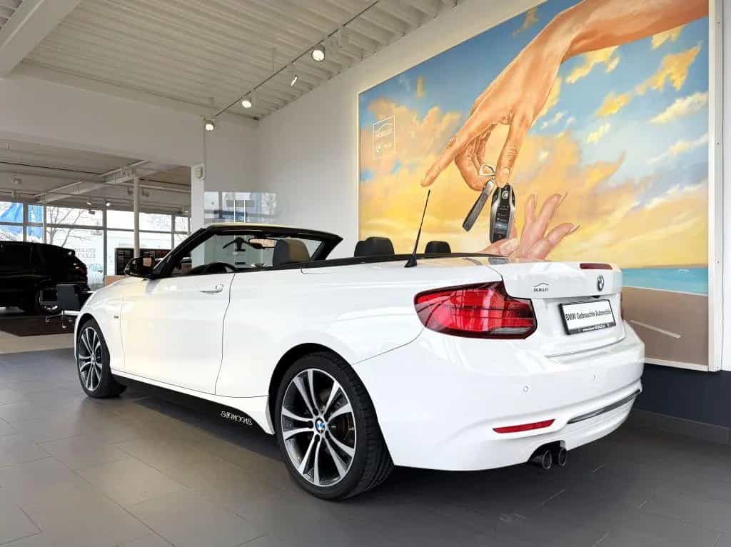BMW 2 Series 220i Cabrio Sport Line KAM+KOMF+LEDer+HARM+DAB+ 01/2018-photo-7