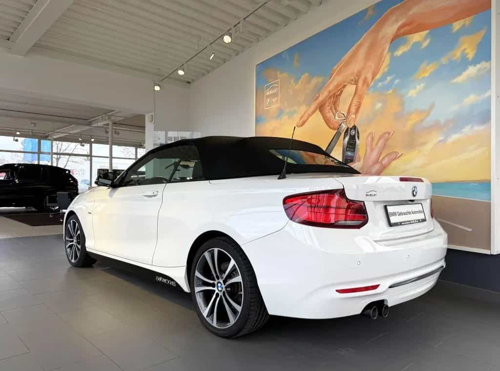 BMW 2 Series 220i Cabrio Sport Line KAM+KOMF+LEDer+HARM+DAB+ 01/2018-photo-8