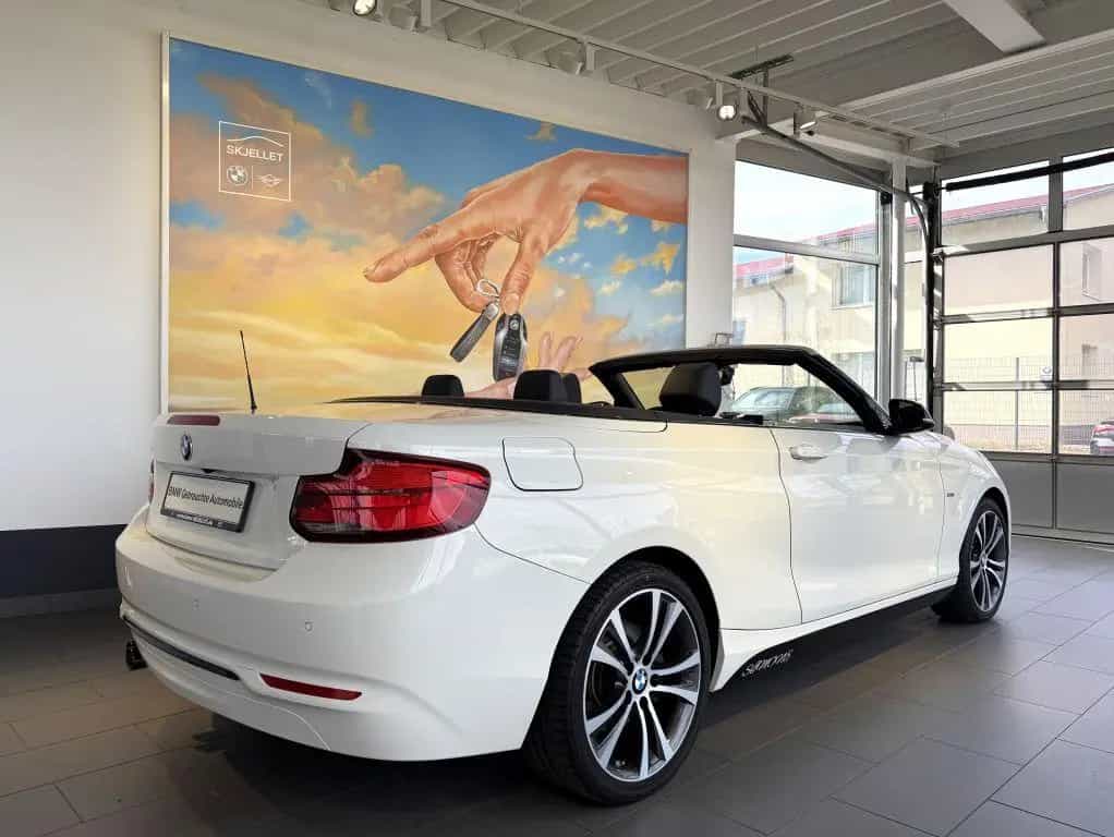 BMW 2 Series 220i Cabrio Sport Line KAM+KOMF+LEDer+HARM+DAB+ 01/2018-photo-9
