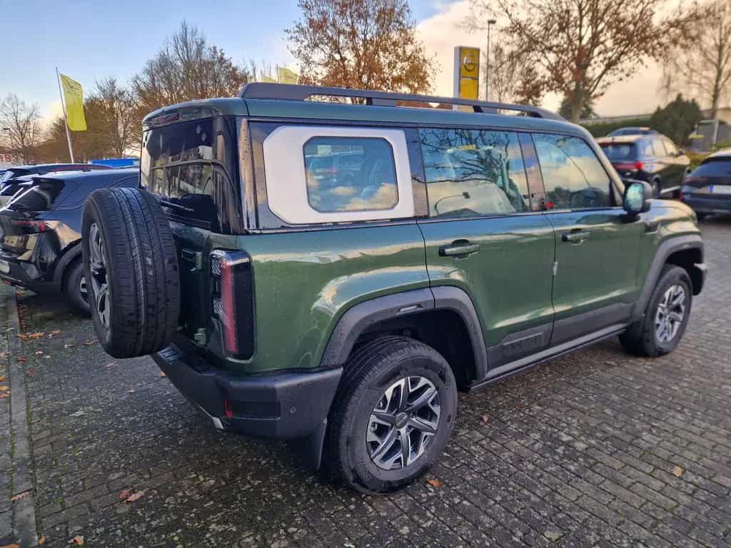 BAIC BJ40 D Pro   Bestellangebot null-photo-10