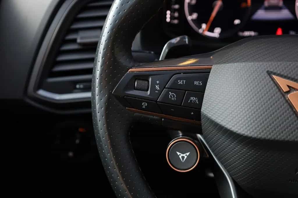Cupra Ateca 2.0 TSI 4Drive/BEATS/360°/ACC/1 HAND/TOT/ 01/2023-photo-33