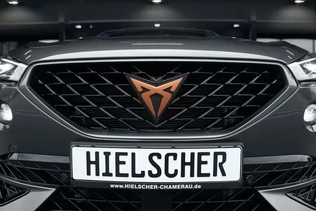Cupra Formentor VZ 4Drive *Winterpaket*LED*DSG*SHZ*19* 08/2021-photo-24