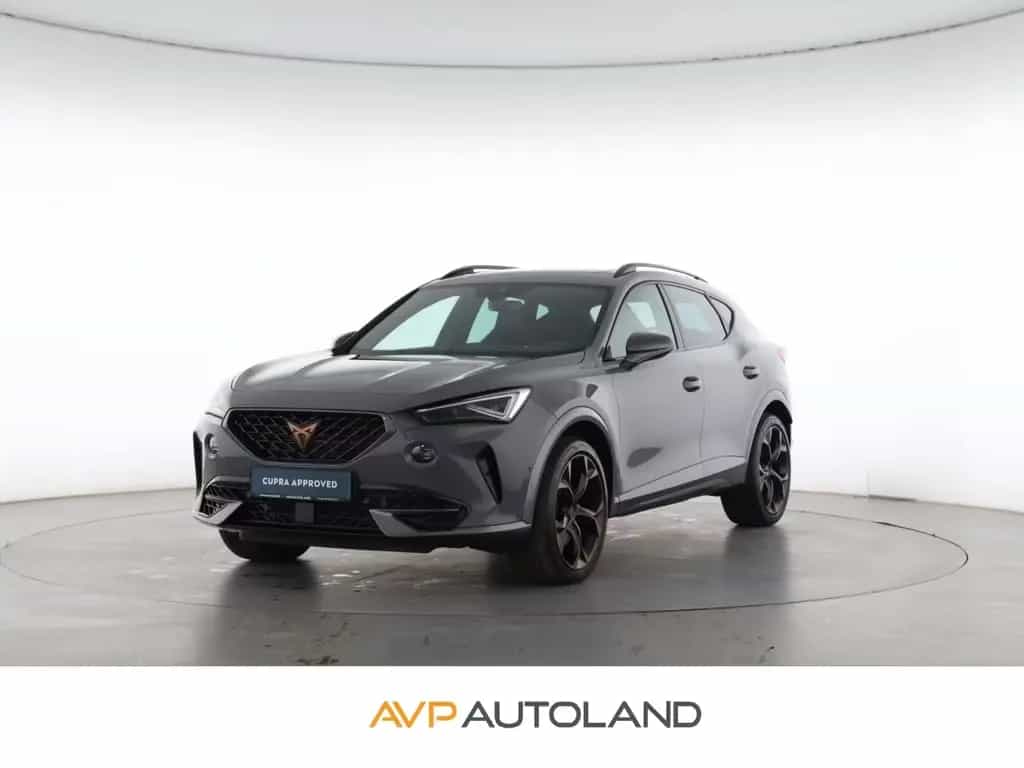 Cupra Formentor 2.0 TSI DSG 4Drive VZ | PANO | NAVI | 02/2023-photo-0