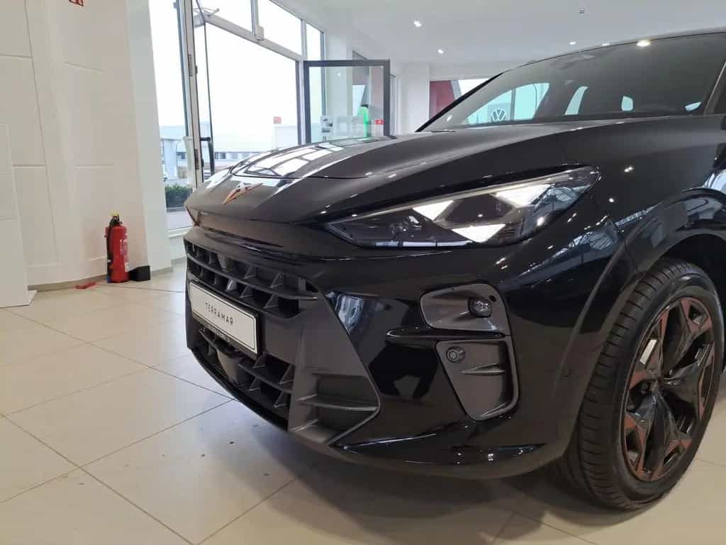 Cupra Terramar VZ 2.0 TSI DSG 4DRIVE *MATRIX*HEADUP*NA 03/2026-photo-14