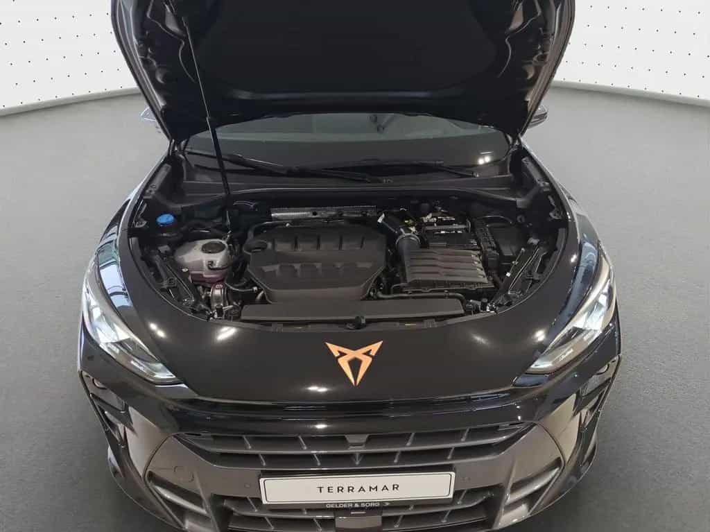 Cupra Terramar VZ 2.0 TSI DSG 4DRIVE *MATRIX*HEADUP*NA 03/2026-photo-17