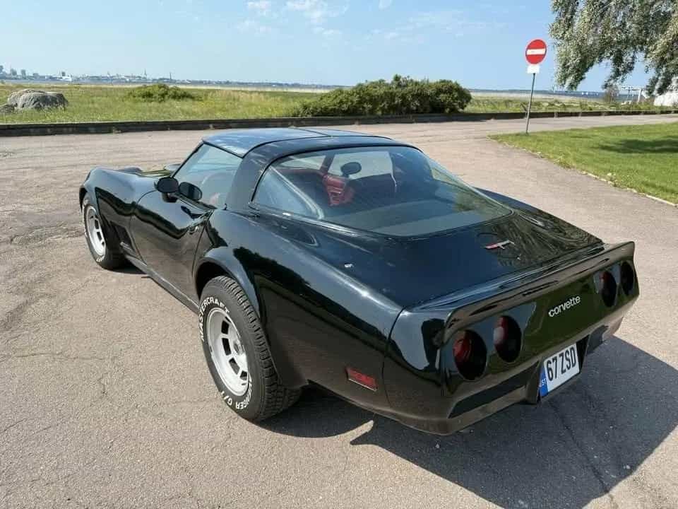 Corvette C3 05/1981-photo-2