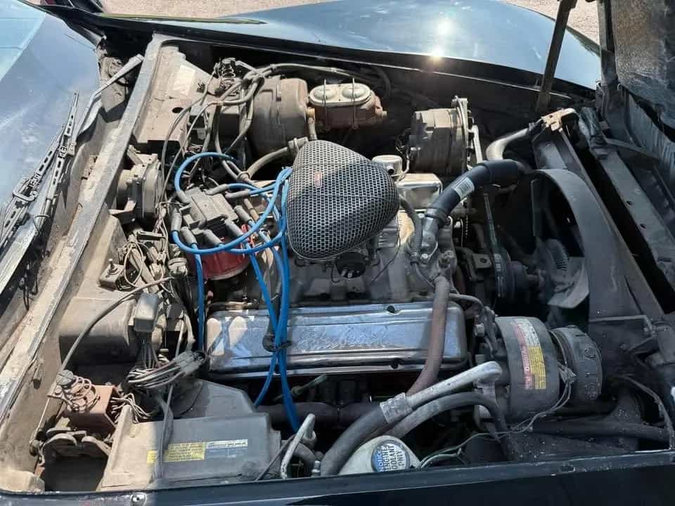 Corvette C3 05/1981-photo-8