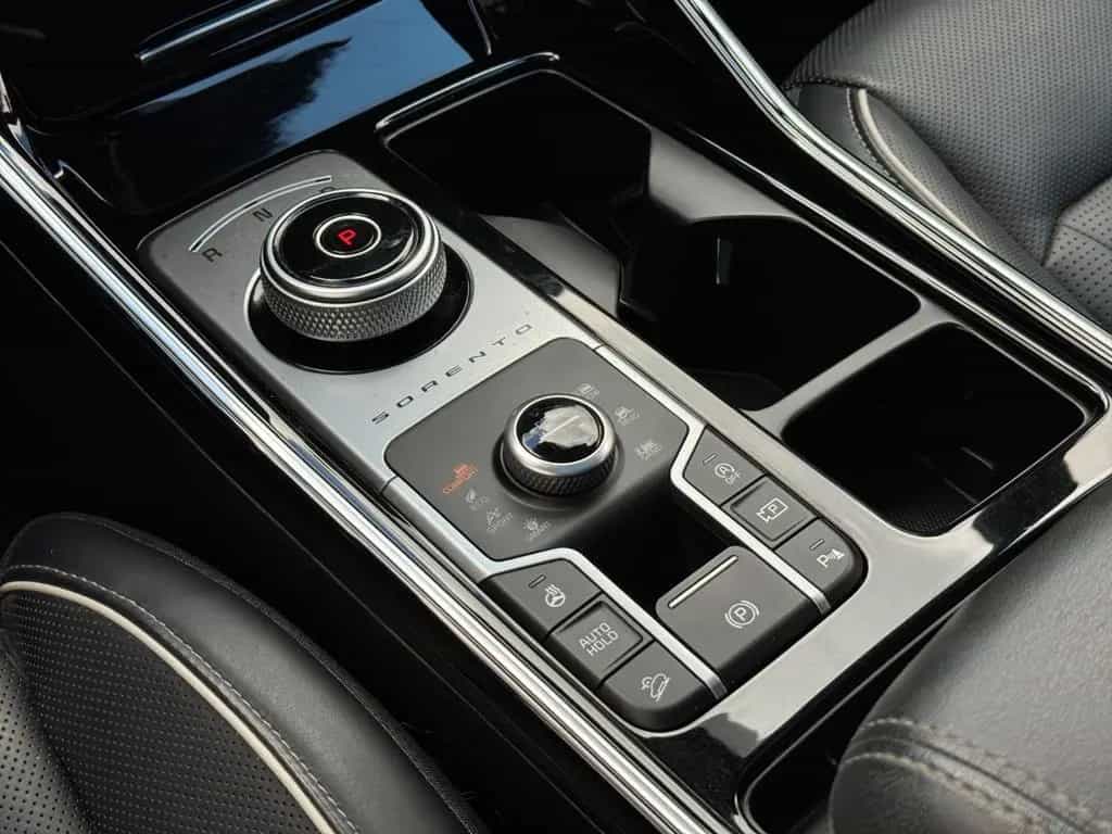 Kia Sorento 2.2 CRDi DCT8 AWD Platinum ACC|HuD|360° 12/2020-photo-12
