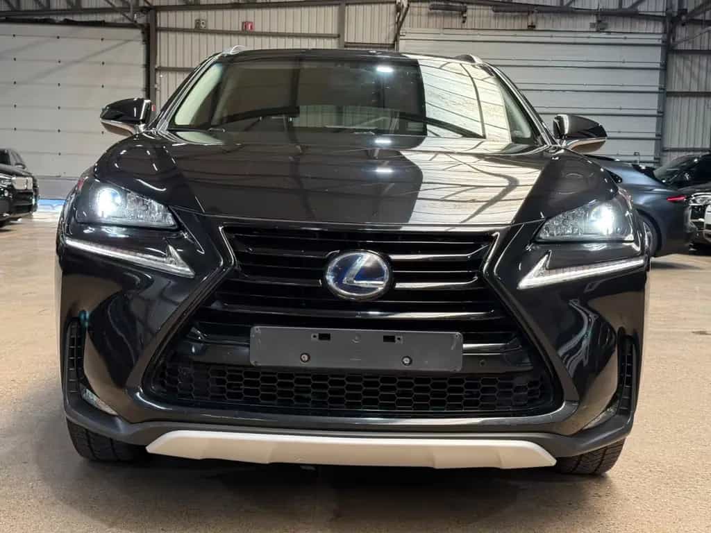 Lexus NX 300 300h Executive Line 12/2016-photo-1