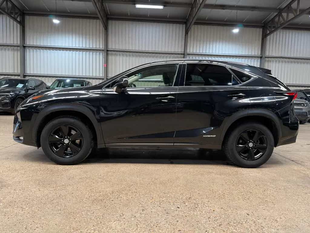 Lexus NX 300 300h Executive Line 12/2016-photo-3