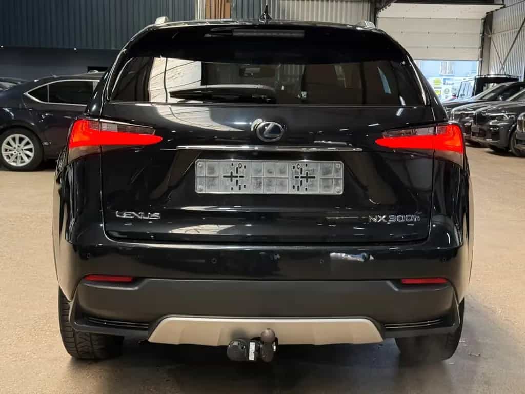 Lexus NX 300 300h Executive Line 12/2016-photo-5