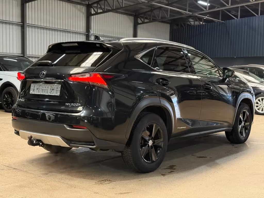 Lexus NX 300 300h Executive Line 12/2016-photo-6