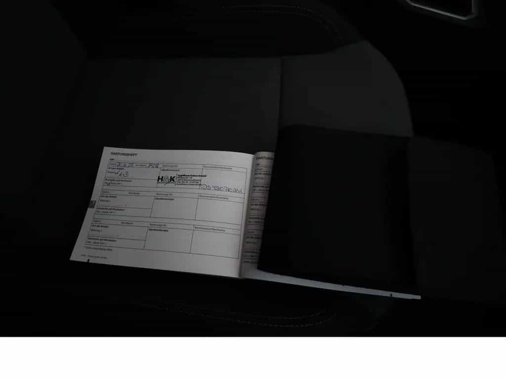 Dacia Sandero Stepway Extreme Navi Scheckheftgepflegt 10/2024-photo-22