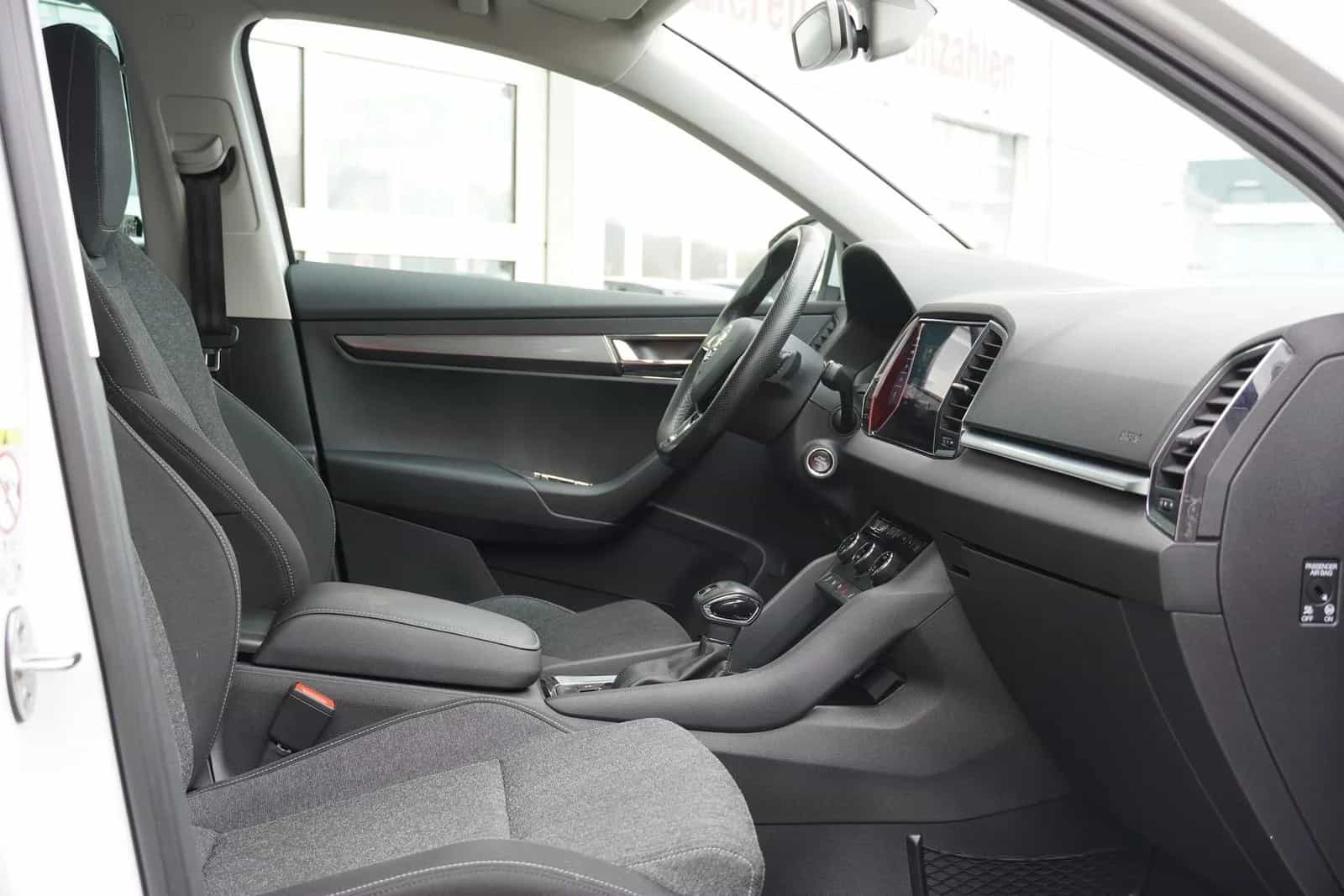 Skoda Karoq 03/2018-photo-29