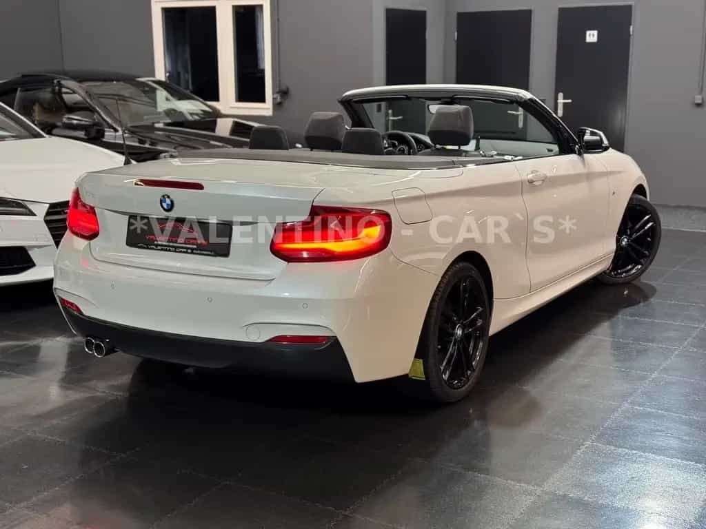 BMW 2 Series 220i Cabrio M-Sport Automatik/Nav/LED/Shadowline 01/2018-photo-9