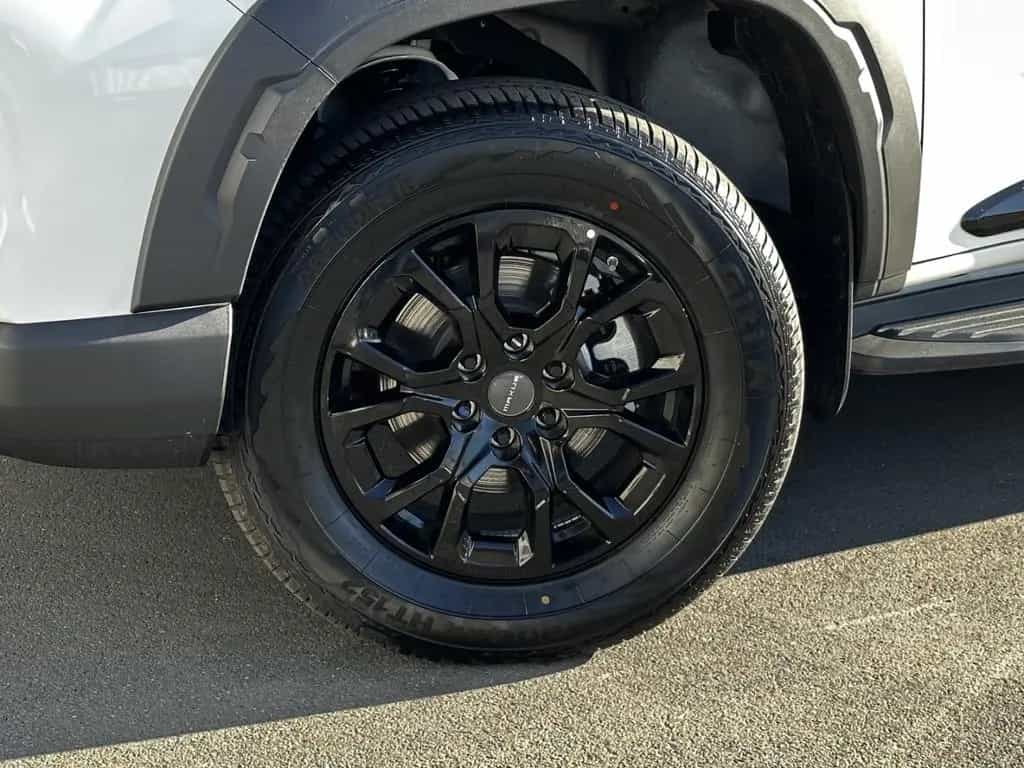 Maxus T60 MAX 2.0 TDCi 4WD Luxury LED 360 PDC Shz Leder null-photo-4
