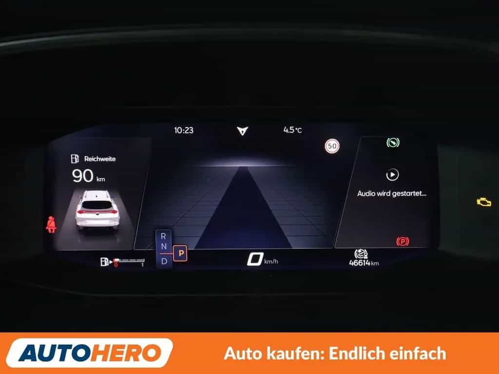 Cupra Formentor 2.0 TSI VZ 4Drive Aut*NAVI*LED*ACC*CAM 08/2021-photo-19