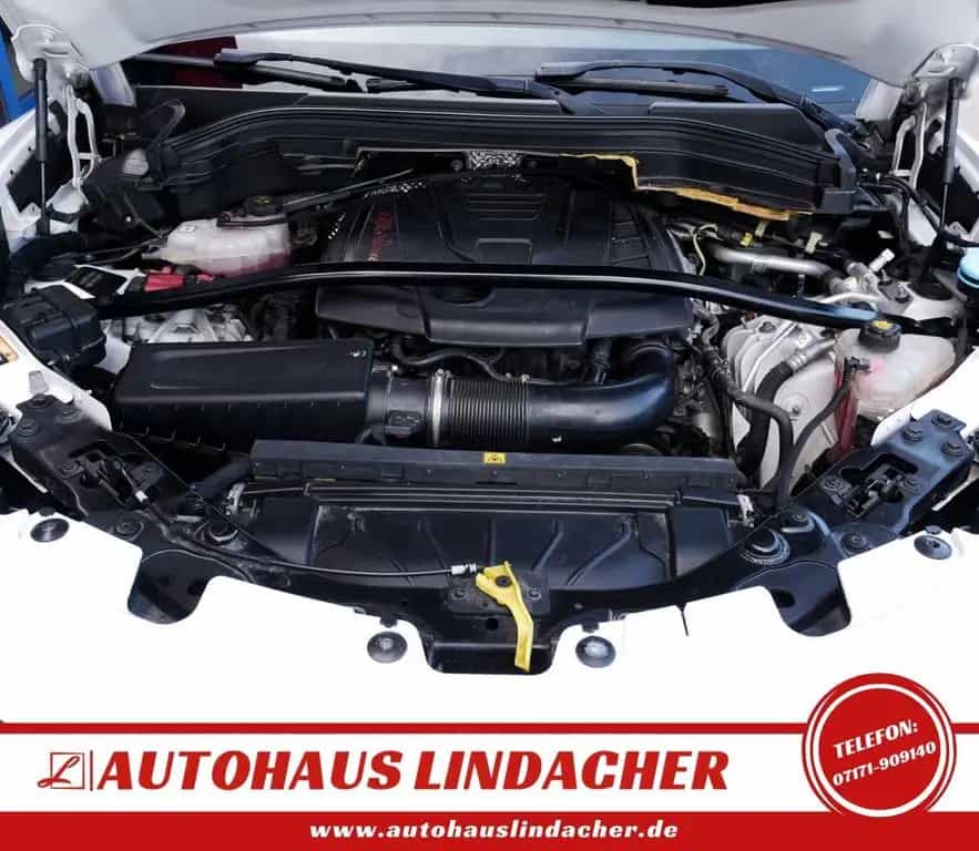 Alfa Romeo Stelvio 2.0T First Edition Q4 |Navi |Leder |Xeno 08/2017-photo-16