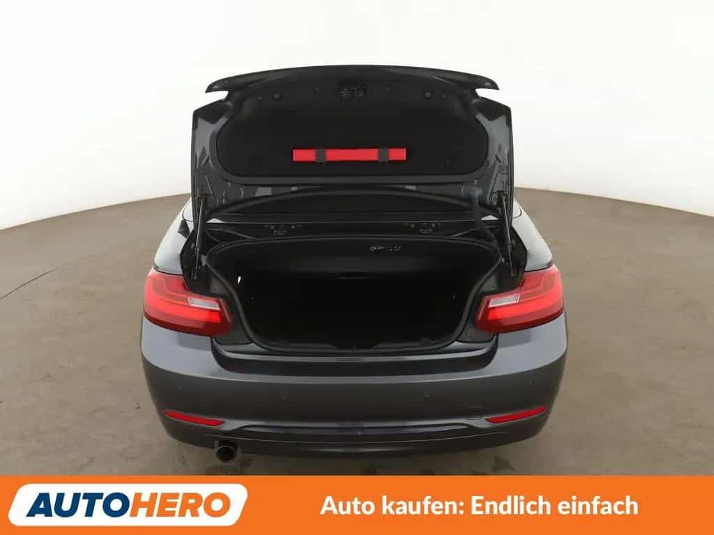 BMW 2 Series 220i Sport Line Aut.*NAVI*BI-XENON*TEMPO*PDC 04/2015-photo-16