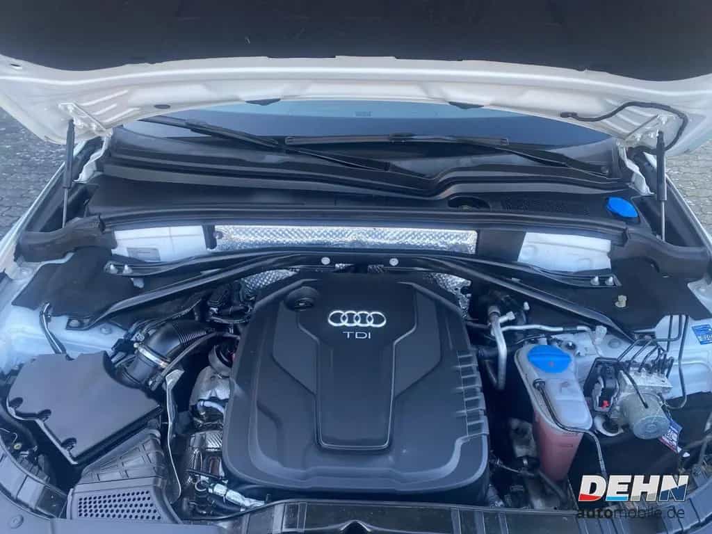 Audi Q5 2.0 TDI DSG quattro Pano MMI Magnetic Kamera 03/2018-photo-14