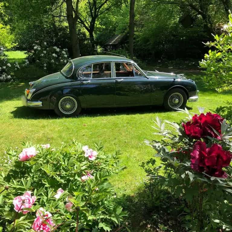 Jaguar MK II 2.4 Overdrive RL Schalter 03/1965-photo-0