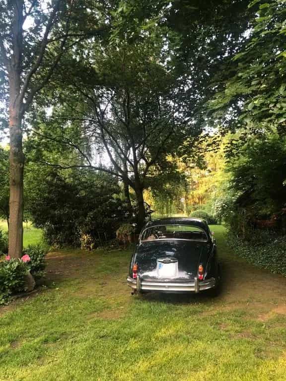 Jaguar MK II 2.4 Overdrive RL Schalter 03/1965-photo-5