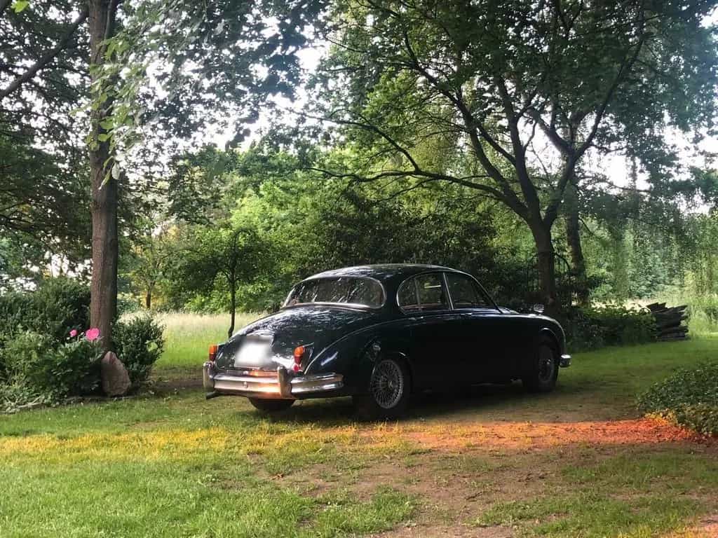 Jaguar MK II 2.4 Overdrive RL Schalter 03/1965-photo-7
