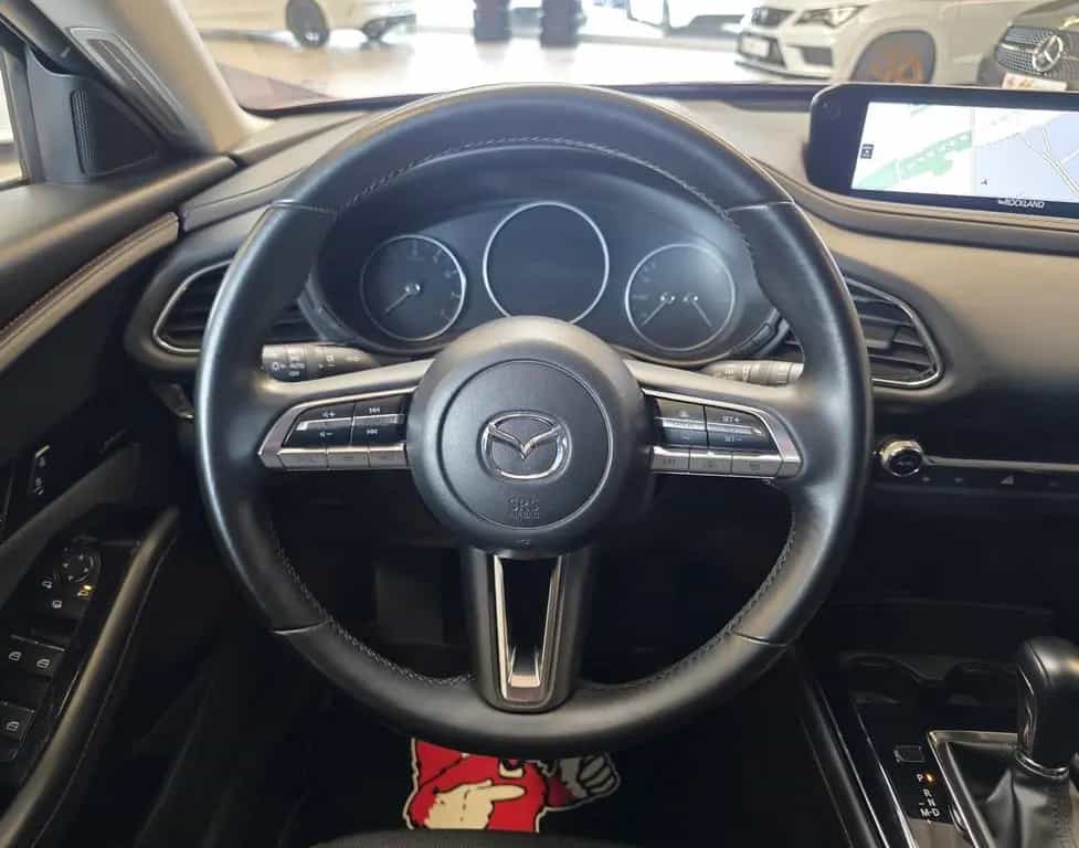 Mazda CX-30 Skyactiv-X 186/Bose/DAB/Keyless/360°/Ahk 09/2022-photo-16