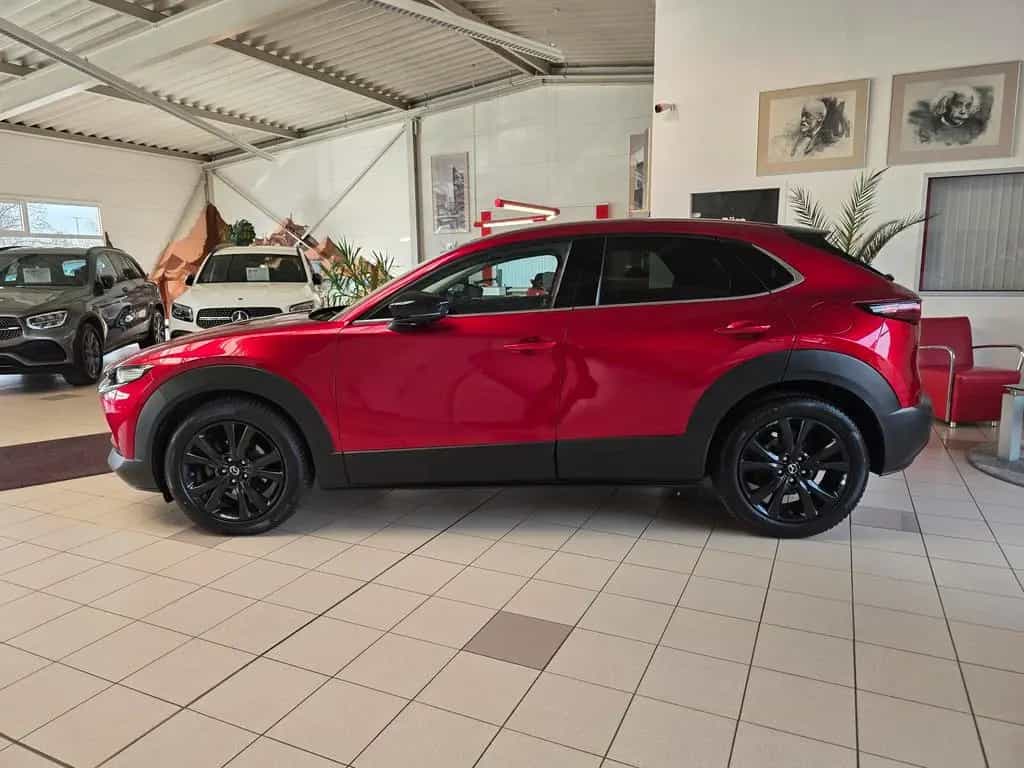 Mazda CX-30 Skyactiv-X 186/Bose/DAB/Keyless/360°/Ahk 09/2022-photo-3