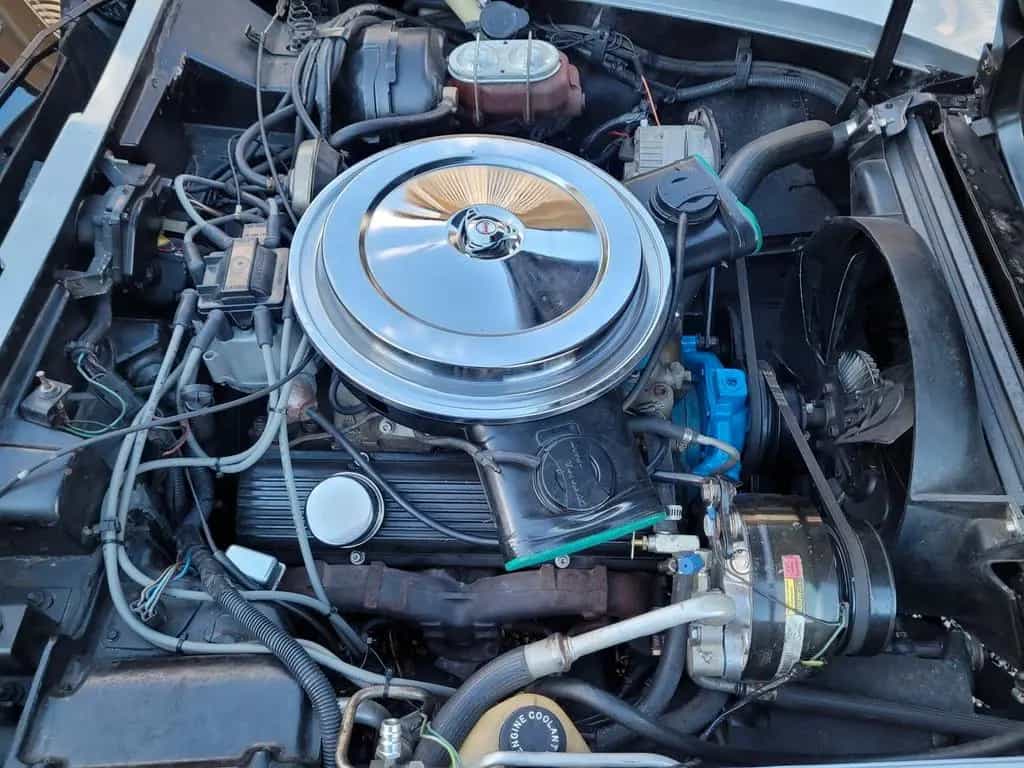 Corvette C3 Anniversary Silver Edition, 224PS 12/1978-photo-11