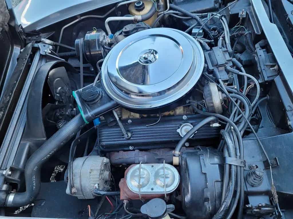 Corvette C3 Anniversary Silver Edition, 224PS 12/1978-photo-12