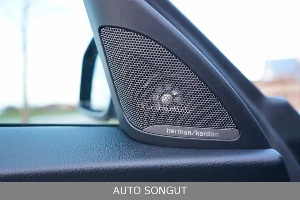 BMW 2 Series 230i Sport-Aut. Cabrio *M-SPORTPAKET*H&K*KAMERA* 05/2021-photo-10