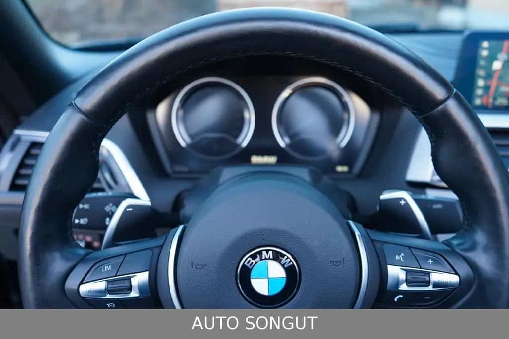 BMW 2 Series 230i Sport-Aut. Cabrio *M-SPORTPAKET*H&K*KAMERA* 05/2021-photo-13