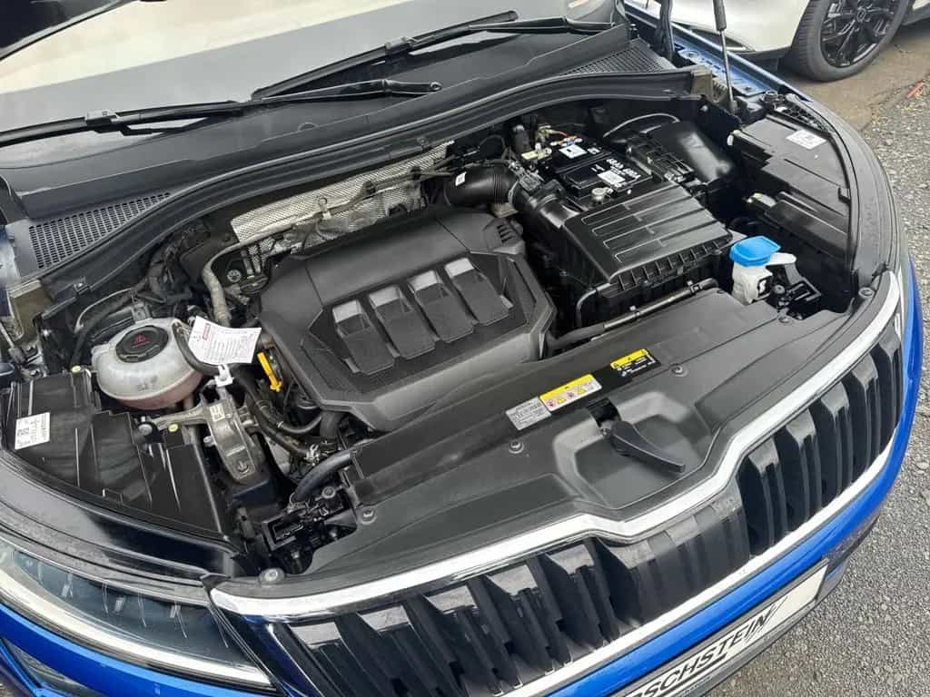 Skoda Kodiaq Drive 125 4x4 WR Navi App ACC 4xSitzheizu 12/2020-photo-28