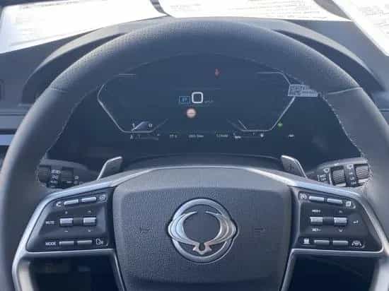 Ssangyong Rexton 2.2 E-XDI 4WD 8AT Black 3.5t AHL GSD ACC 07/2025-photo-21