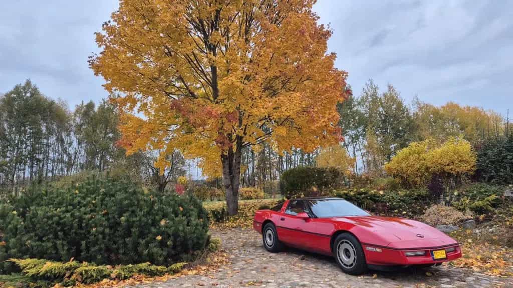 Corvette C4 Chevrolet Corvette C4 1985 manual 05/1985-photo-4