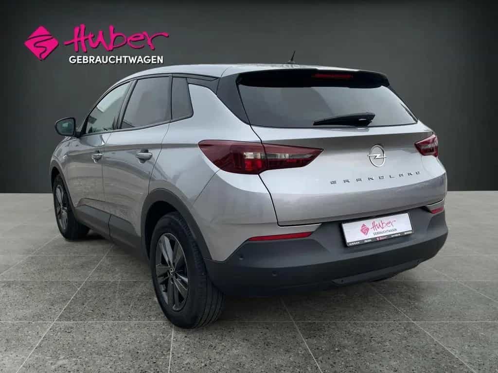 Opel Grandland X BUSINESS EDITION 131 PS (*DAB*MP3*) 05/2022-photo-1