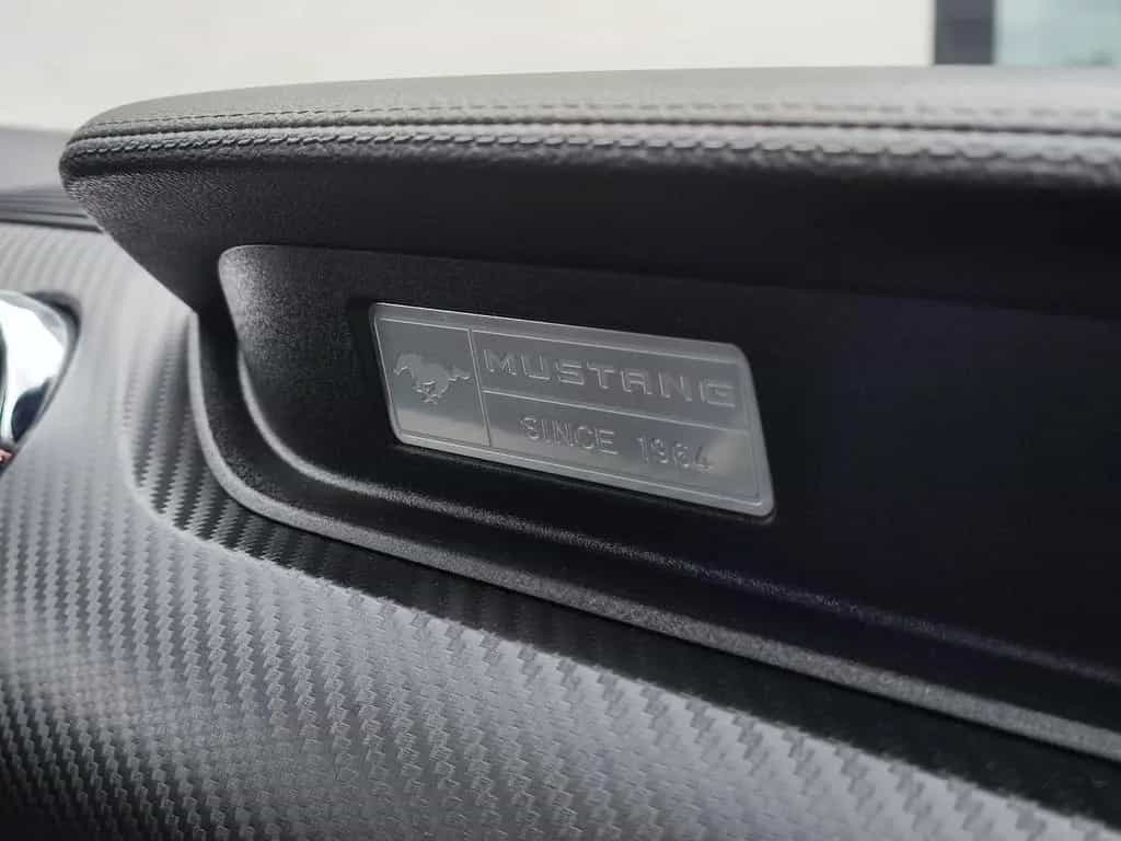 Ford Mustang Fastback 3.7 V6 DOHC 01/2016-photo-17