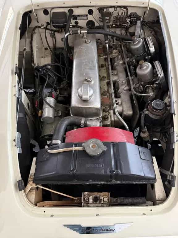 Austin Healey 100 (3000) 05/1959-photo-2