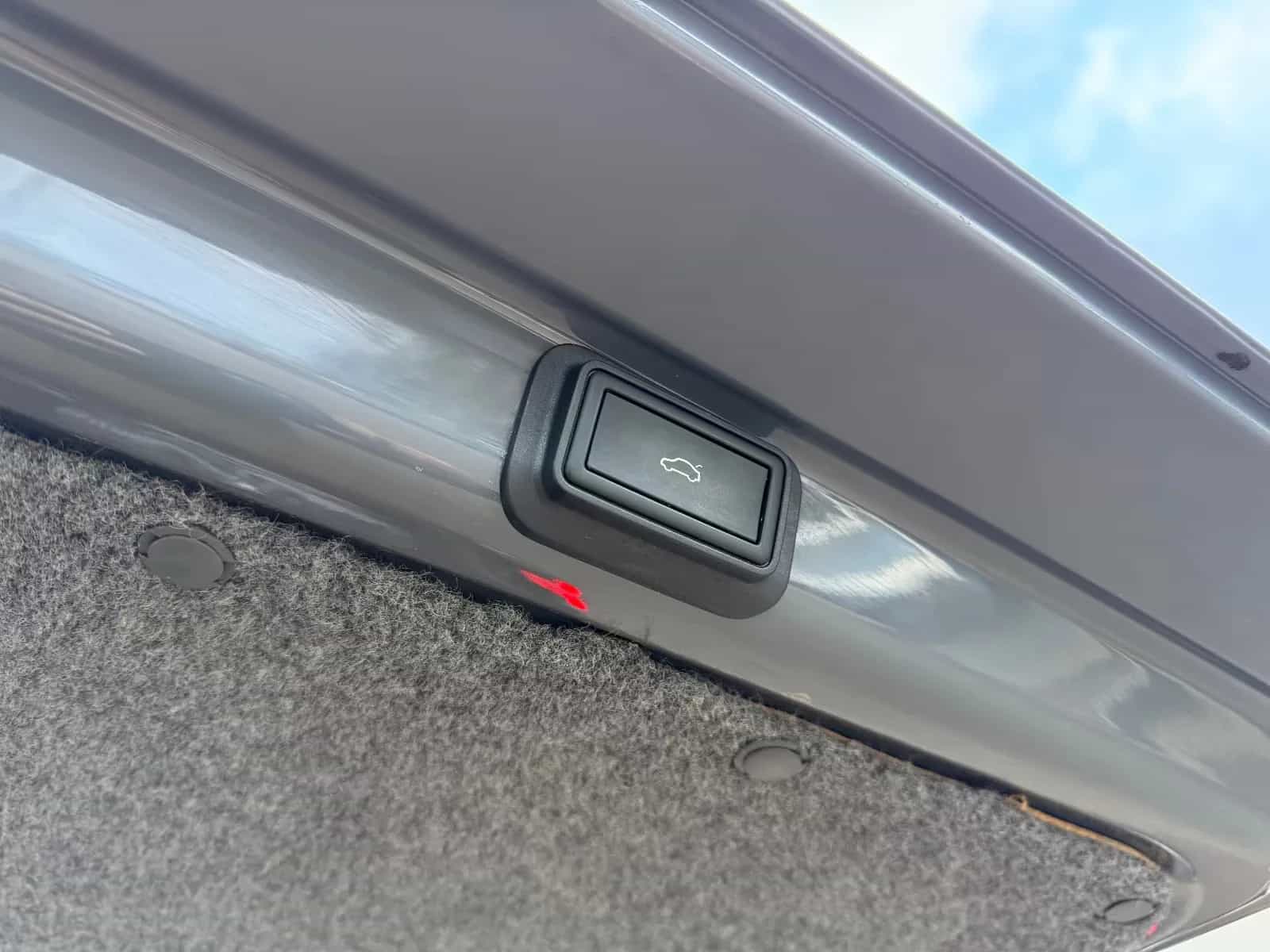 Volkswagen Other 05/2021-photo-21